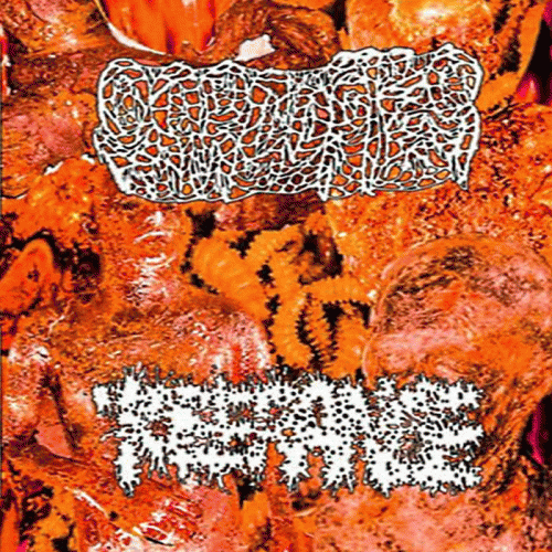 Tolerance (FIN) : Sarcoptes - Tolerance